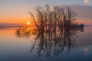 Sonnenaufgang in Tusschenwater