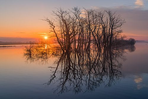 Zonsopkomst in Tusschenwater