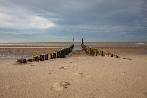 plage de la mer du Nord à Domburg