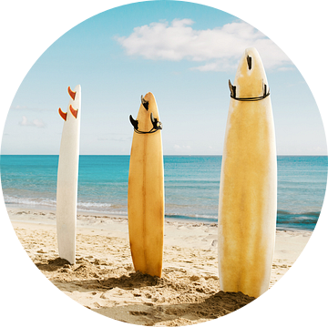 Malibu Surfboards van Gal Design