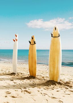 Malibu Surfbretter von Gal Design