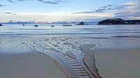 Zonsondergang bij  het strand van Kaiteriteri in Nieuw Zeeland van Aagje de Jong thumbnail