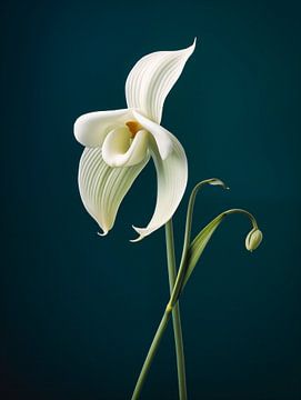 Fleur d'orchidée Portrait sur Virgil Quinn - Decorative Arts