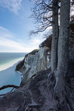 Möns Klint chalk cliff in Denmark by Stephan Schulz