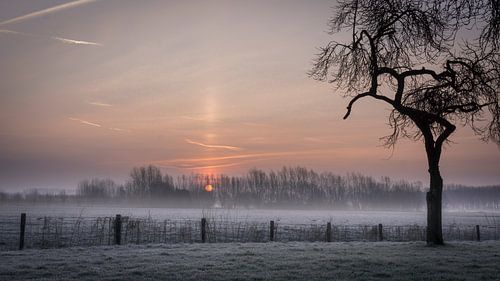 De zon komt op. Het geeft gevroren. Er is een grondmist. De lucht is helder. Condensstrepen tekenen 