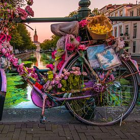 Blumenfahrrad in Den Haag von Kevin Coellen