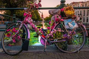 Blumenfahrrad in Den Haag von Kevin Coellen