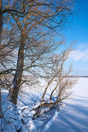 Meer op een winterse dag