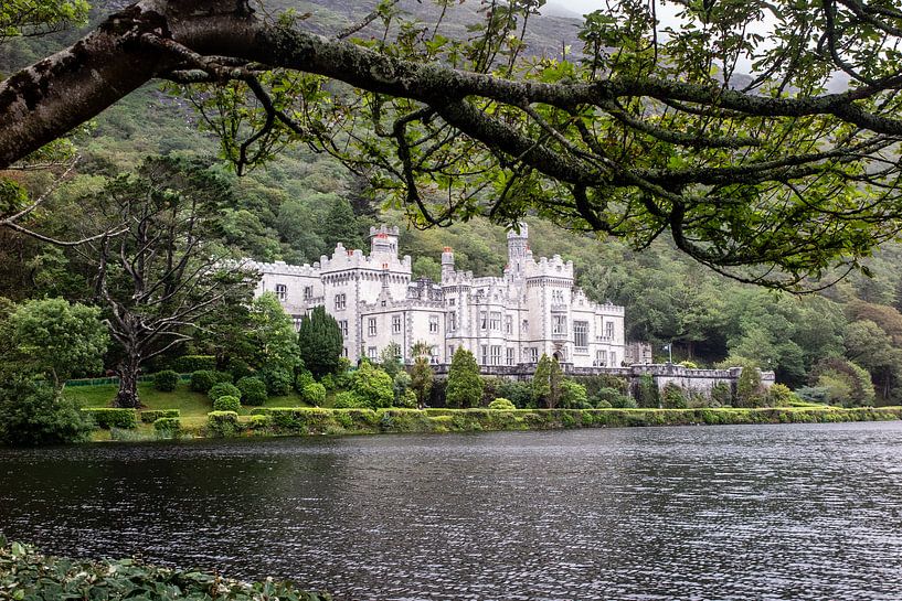 Ireland by Eric van Nieuwland