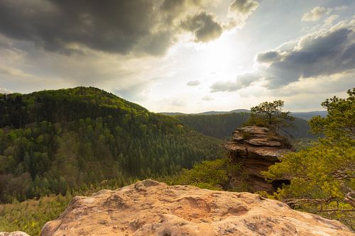 Le Buchkammerfelsen dans la forêt du Palatinat