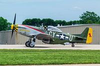 WARBIRDS.