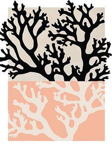 Coral (Peach)