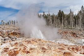 Geyser in Yellowstone National Park, USA by Jeroen van Deel