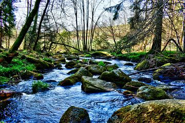 Das Höllbachtal von Roith Fotografie