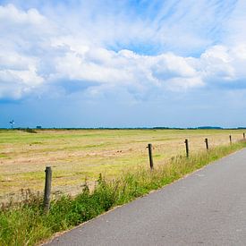 Typische niederländische Landschaft mit einer Straße im Norden der Niederlande von Jacqueline Groot