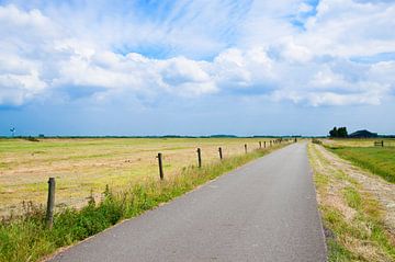 Typisch Nederlands landschap met een weg in het noorden van Nederland van Jacqueline Groot