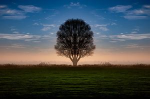 Zonsopgang in IJlst in Friesland met een boom en een oranje achtergrond. One2expose Wout Kok Photogr