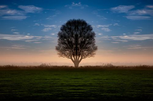Sunrise in IJlst in Friesland with a tree and orange background. One2expose Wout Kok Photogr