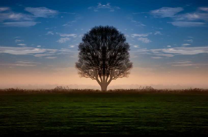 Sunrise in IJlst in Friesland with a tree and orange background. One2expose Wout Kok Photogr by Wout Kok