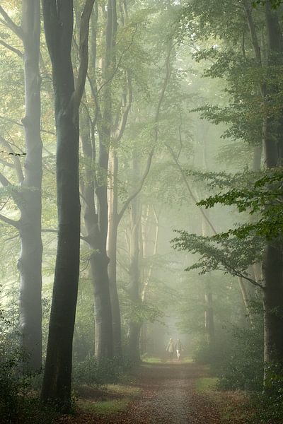 Wanderer im Nebel auf der Veluwe von Esther Wagensveld
