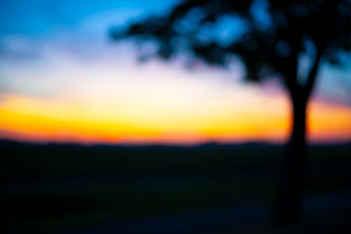 Dreamy Twilight Landscape in the Polder