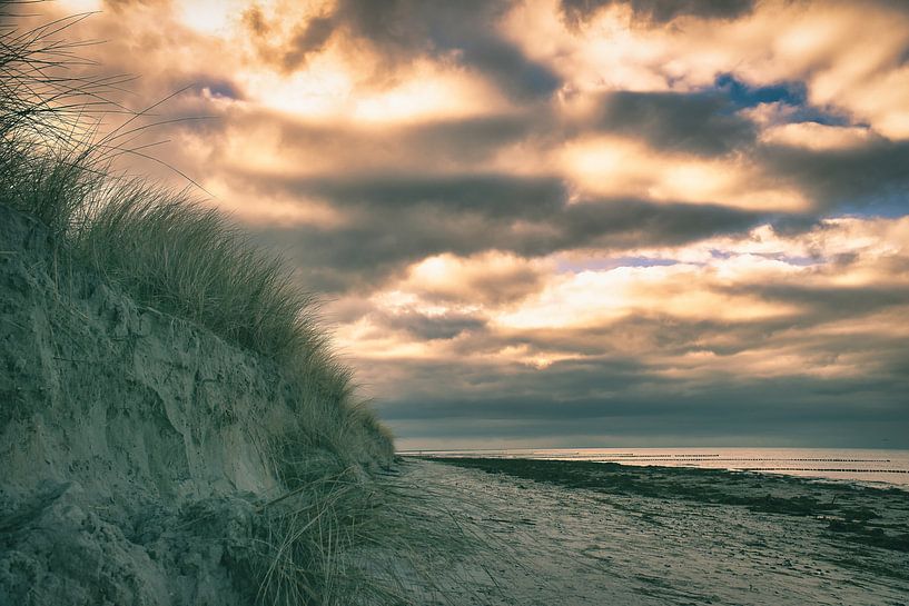 Op het zandstrand van de Oostzeekust van Martin Köbsch
