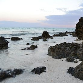 Small beach, Zanzibar von Charise Blokdijk