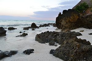 Small beach, Zanzibar sur Charise Blokdijk