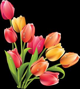 tulipes sur Dreamy Faces