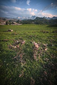 Asturies Pics d'Europe Covadonga