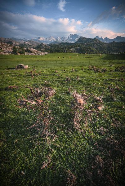Asturien Picos de Europa Covadonga von Jean Claude Castor