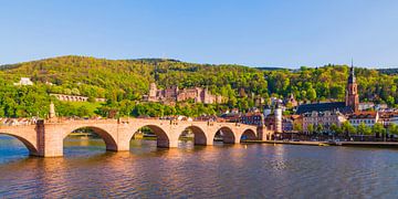 Oude brug en kasteel in Heidelberg van Werner Dieterich