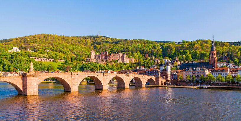 Alte Brücke und Schloss in Heidelberg von Werner Dieterich