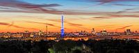 Skyline Berlin im Sonnenaufgang von Frank Herrmann Miniaturansicht