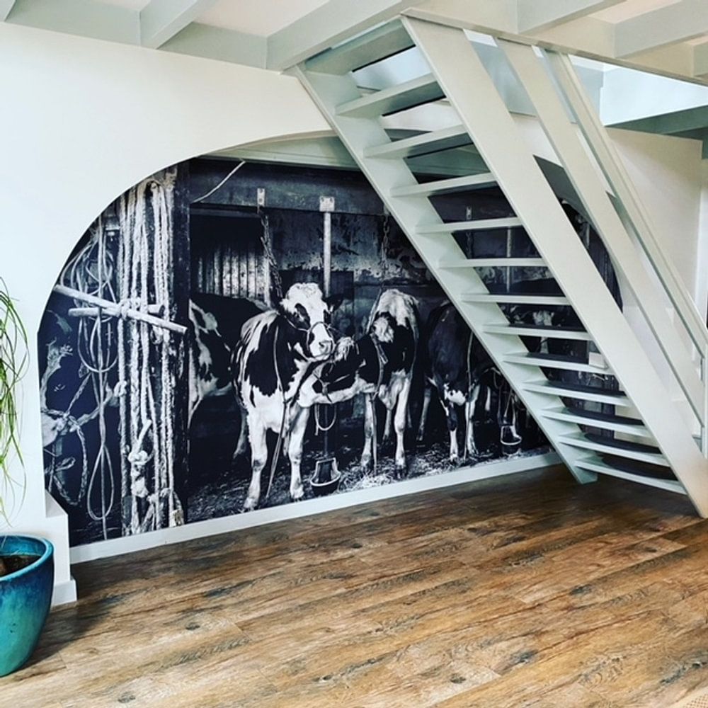 Kühe im alten Kuhstall von Inge Jansen