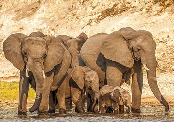 Ensemble, nous sommes forts !