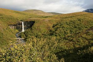 Svartifoss Islande