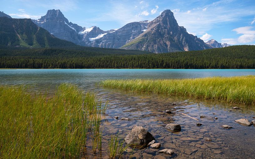 Watervogelmeer, Icefield Parkway, Banff National Park, Alberta, Canada van Alexander Ludwig