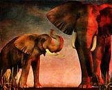 Règne animal –  Des éléphants vous ont vu et viennent à vous (Nous vous avons vu) par Jan Keteleer Aperçu