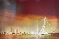 Rotterdam
