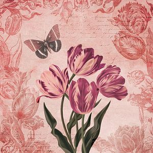 Tulip Dreams by Andrea Haase