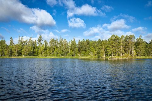 Meer in Zweden met witte wolken, blauw water en bomen aan de oever