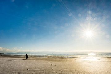 Solitaire sur la plage du lac de Constance sur Dieter Walther
