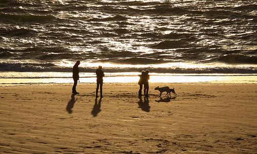Op het strand van Zoutelande
