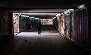 La lumière dans le tunnel sur Werner Lerooy