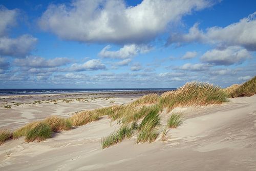 Duinlandschap op Terschelling