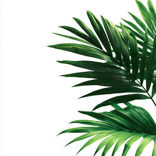 Tropische palmtakken groen wit