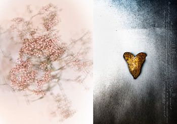 A MOMENT OF HAPPINESS_BABY'S BREATH AND LEAF