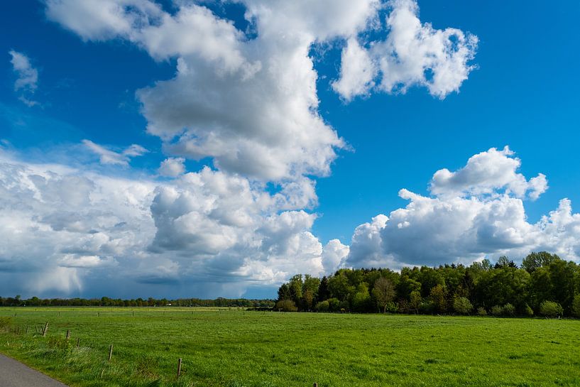 tout en se promenant avec une vue magnifique sur la nature par Matthias Korn