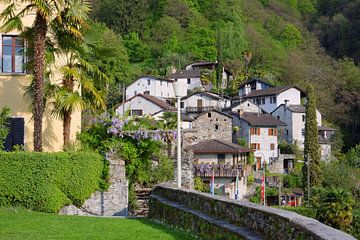 Mountain Village in Ticino van Gisela Scheffbuch